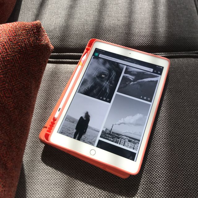Tablet displaying a grid of four wildlife and environmental photographs